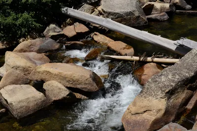 DSC_3684 (Large).JPG